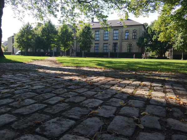 在哥本哈根大学 (university of copenhagen) 就读是怎样一番体验?