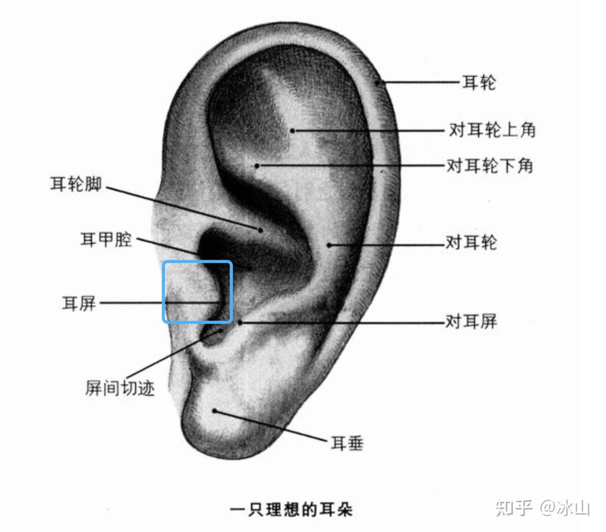外耳道疖肿成熟图片,外耳道肉芽图片 - 伤感说说吧