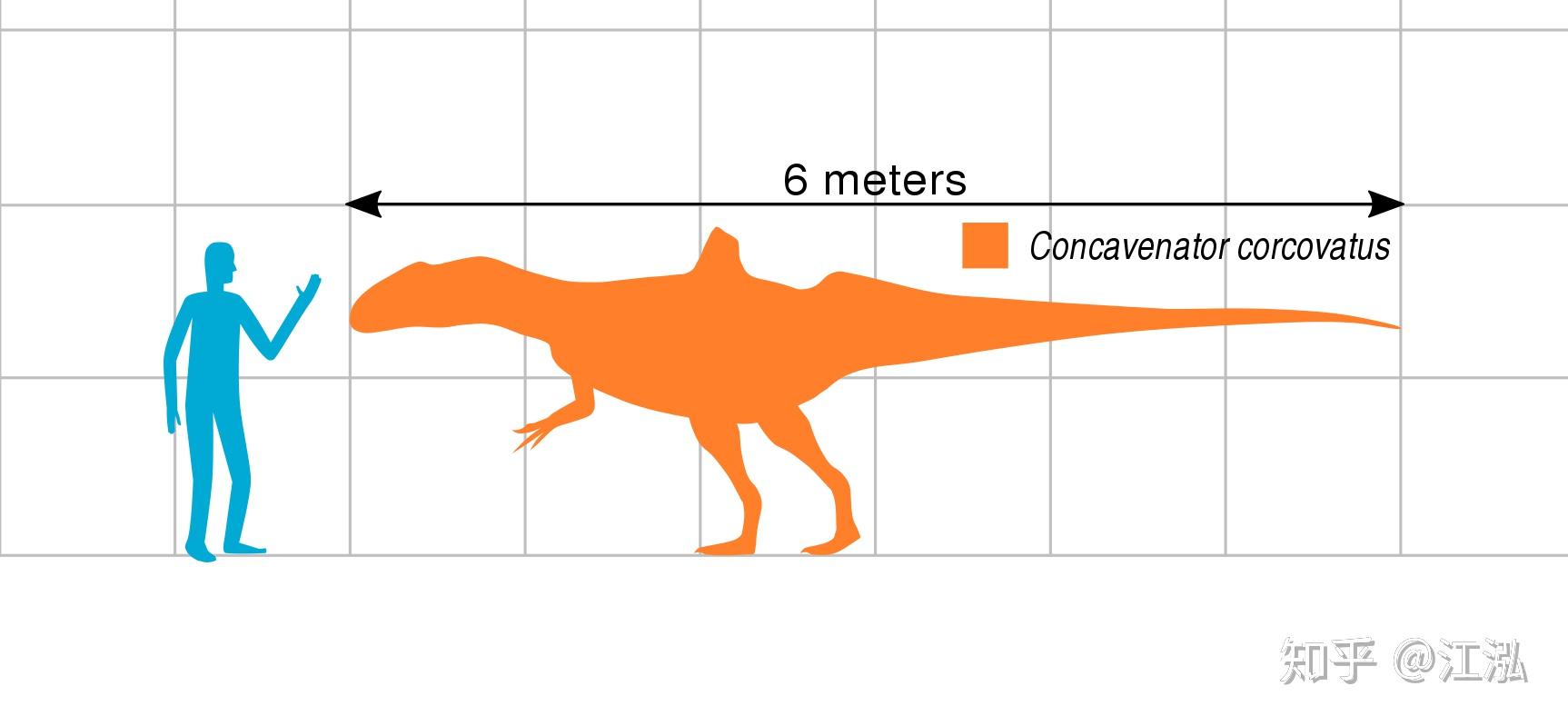 西班牙发现长着奇特驼背的食肉恐龙