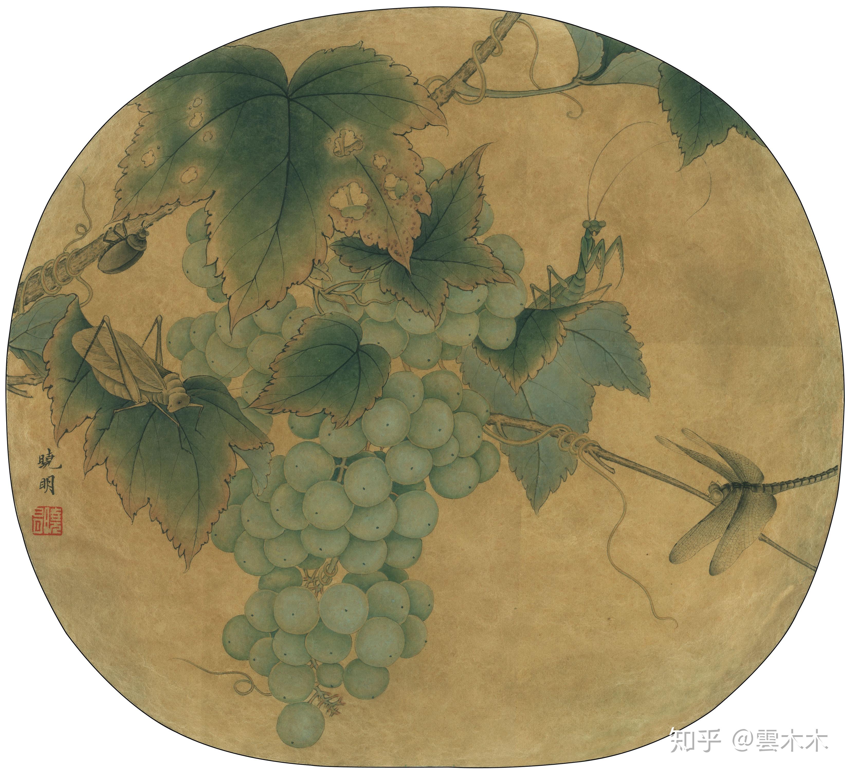 宋小品国画工笔绘画步骤图葡萄草虫图尺寸3335cm