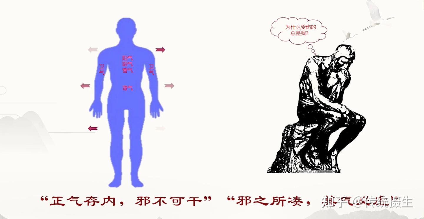 中医哲学基础-气一元论学说(一) - 知乎