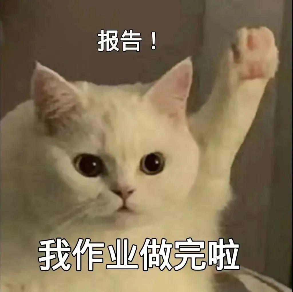 外星人基地