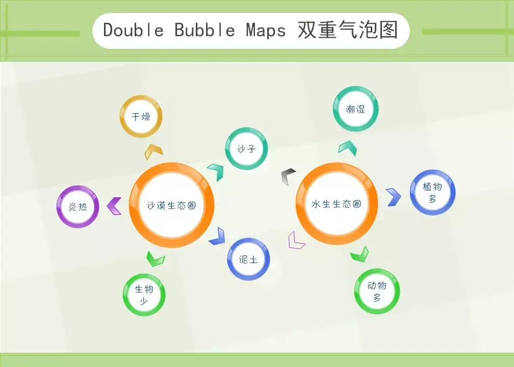 bubble diagram图片