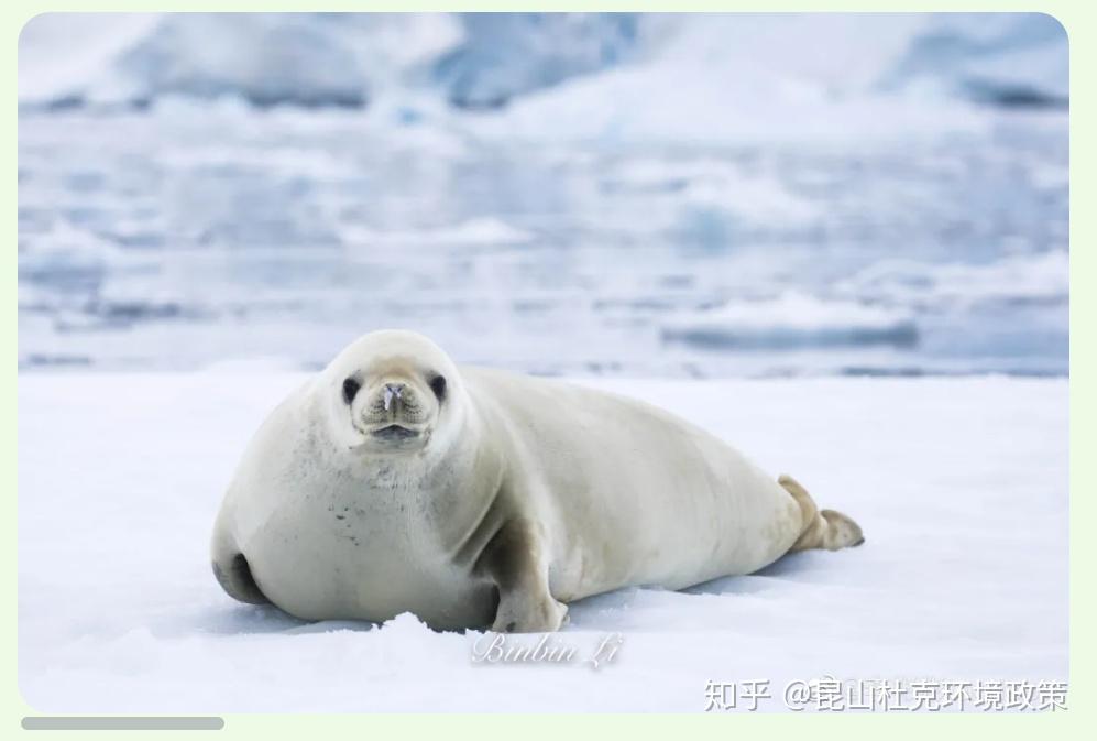 生物多样性与可持续发展方向介绍 | 李彬彬教授和她的B-LAB研究团队 - 知乎