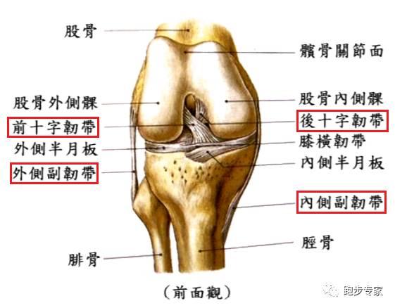 第一回67膝關節構造介紹,常見損傷(點我閱讀)第二回67常見損傷