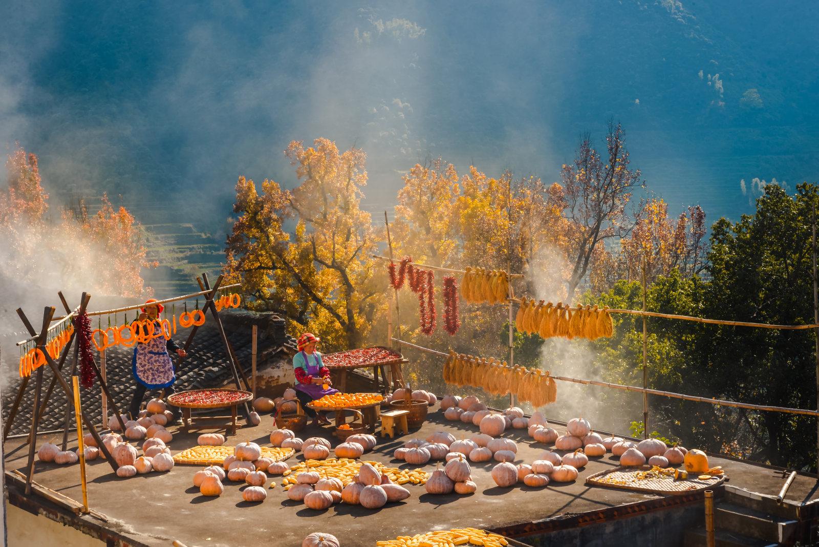 第4期国元证券杯乡村振兴百业兴旺共同富裕全国摄影大展参赛作品欣赏