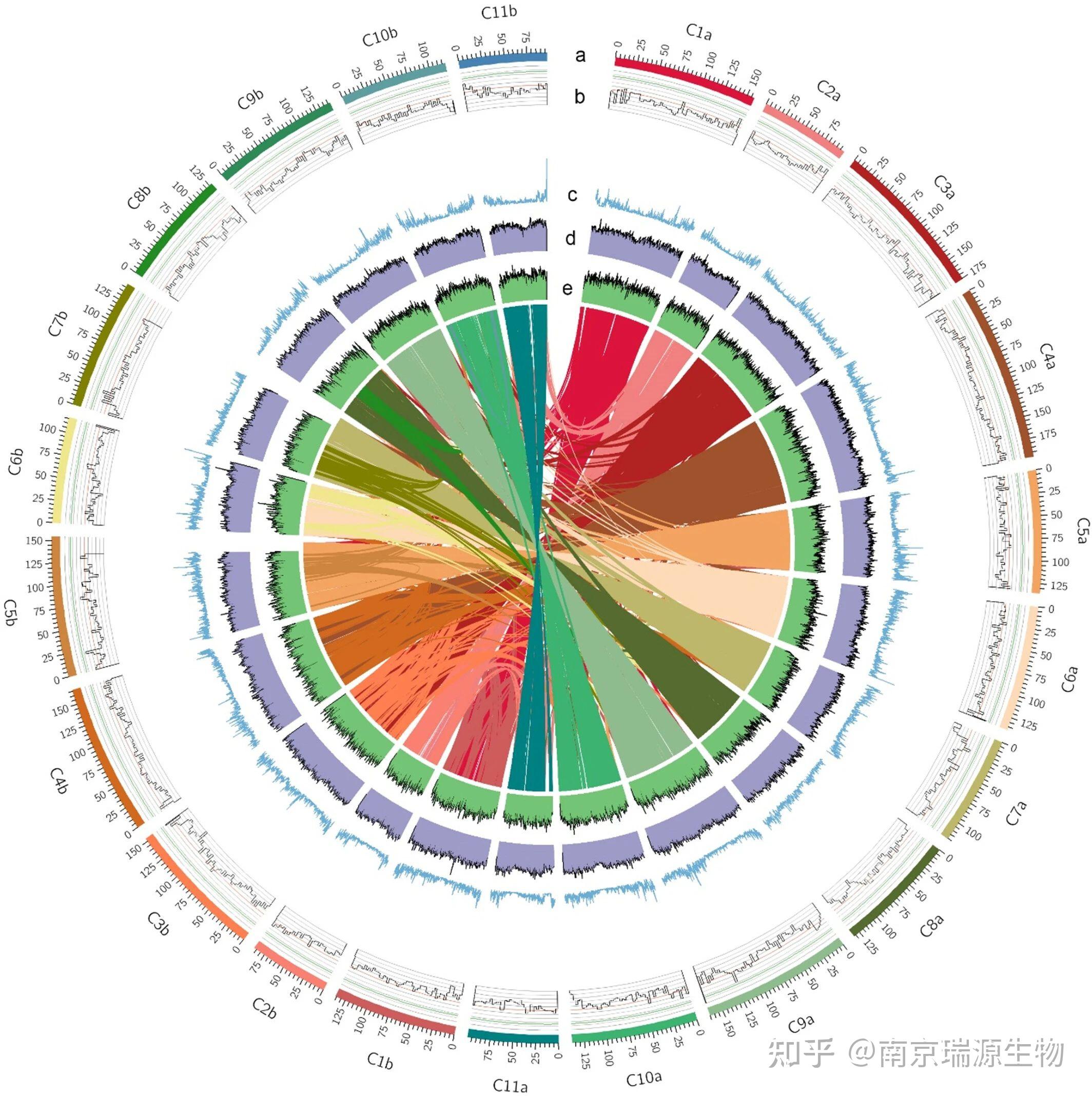 DNA测序图图片