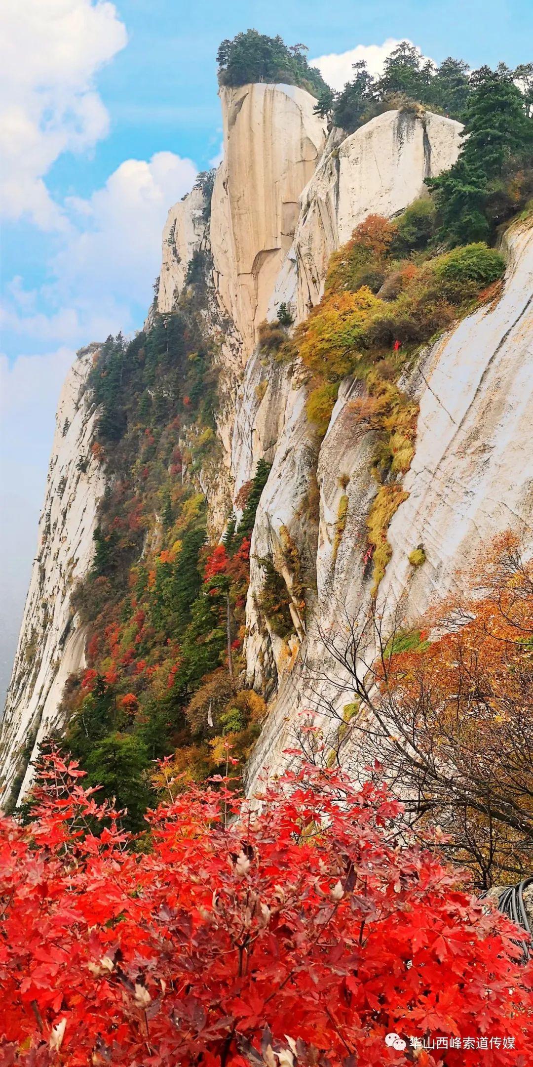 华山,风景旖旎,红叶醉人,最美的景色就沿途,迷醉在这梦幻般的秋景里