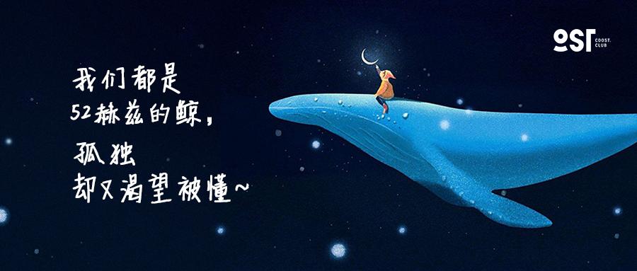我们都是52赫兹的鲸 孤独却又渴望被懂 知乎