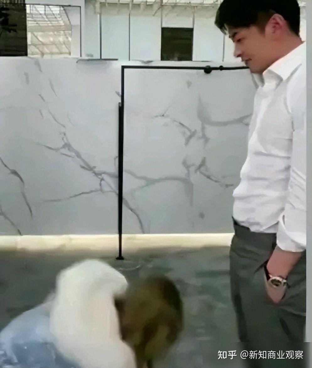 多次封禁,辛巴也多次流露过自己"没心气了",想来扶持蛋蛋上位也是明