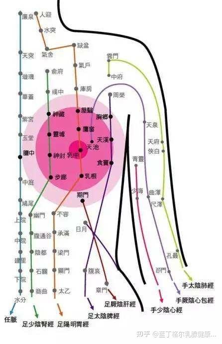 中医分析乳头疼痛