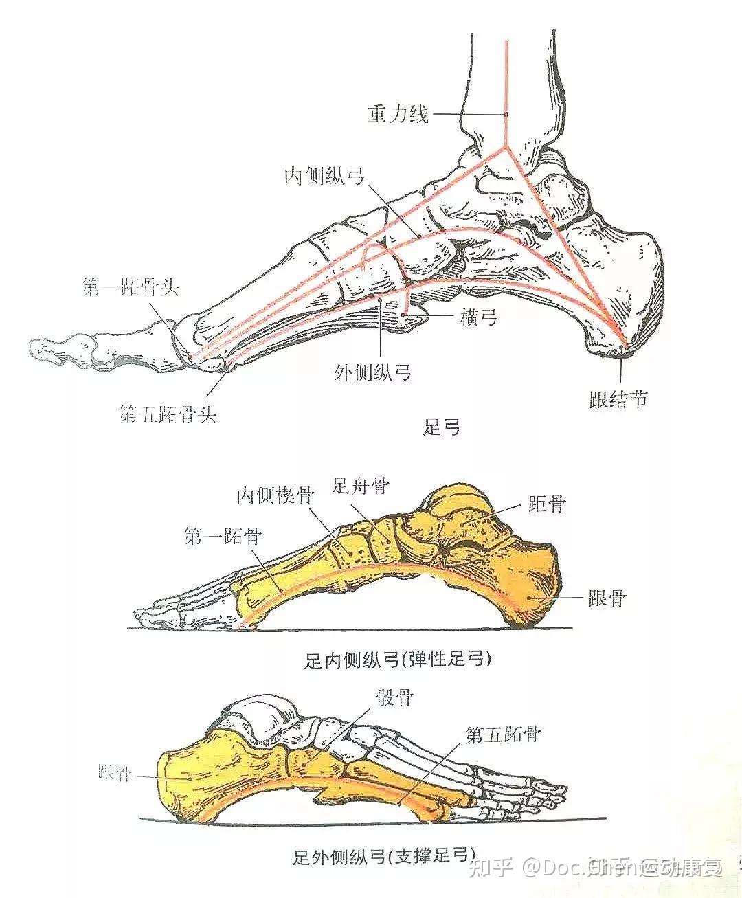 橫掃足壇風(fēng)云