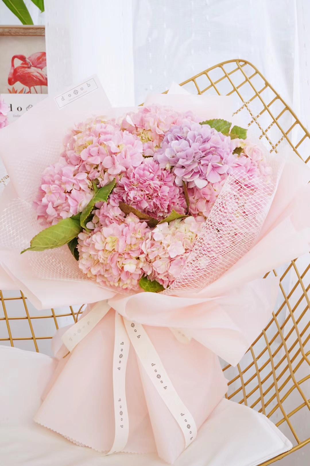 每日一花女神专属粉红迷你绣球花