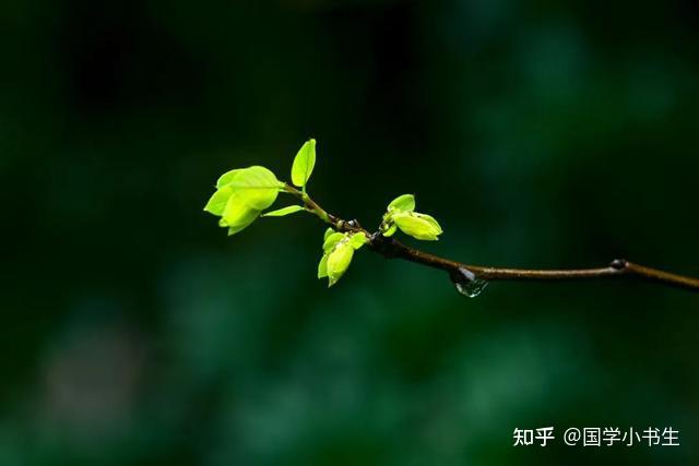 余生最好的活法:骨子坚强,言行干净,内心善良 - 知乎