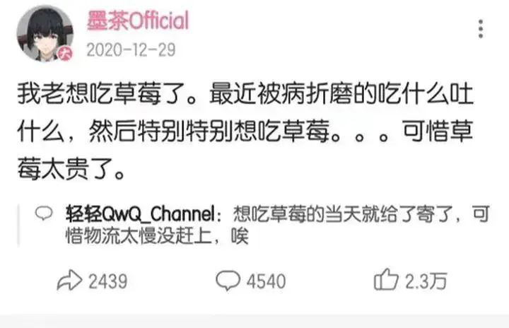 23岁的主播墨茶被活活饿死这世界有太多人在你看不见的角落夹缝生存