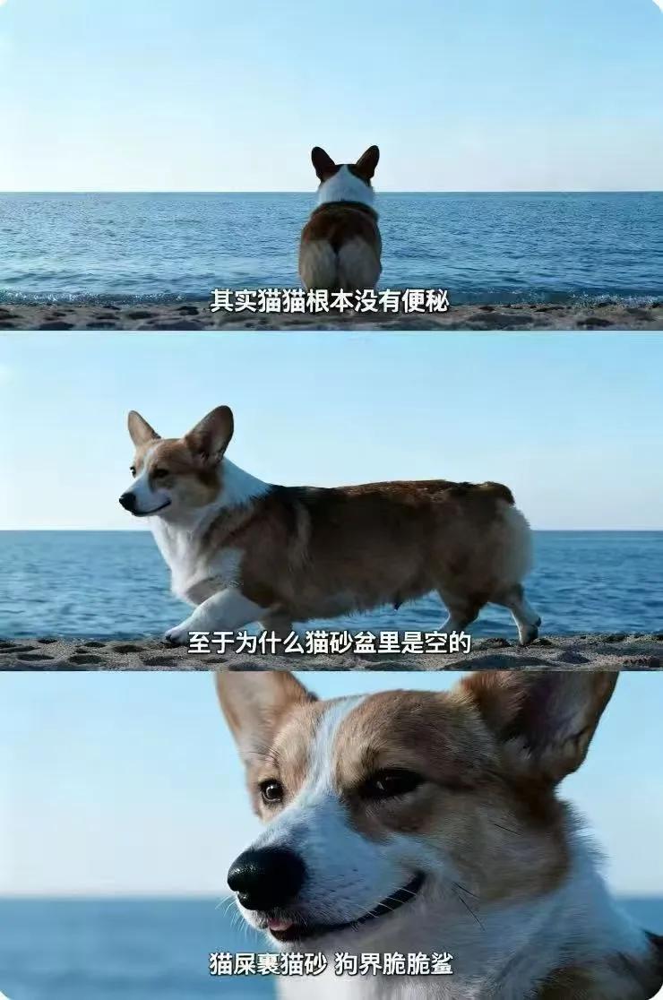 海的那边是什么，你不用告诉我 知乎 