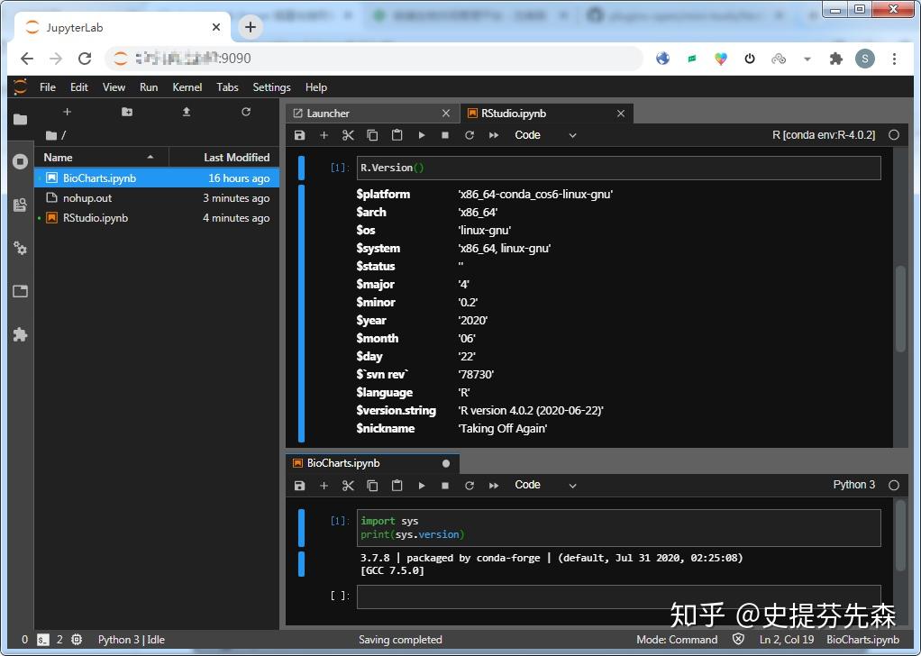Jupyterlab server 