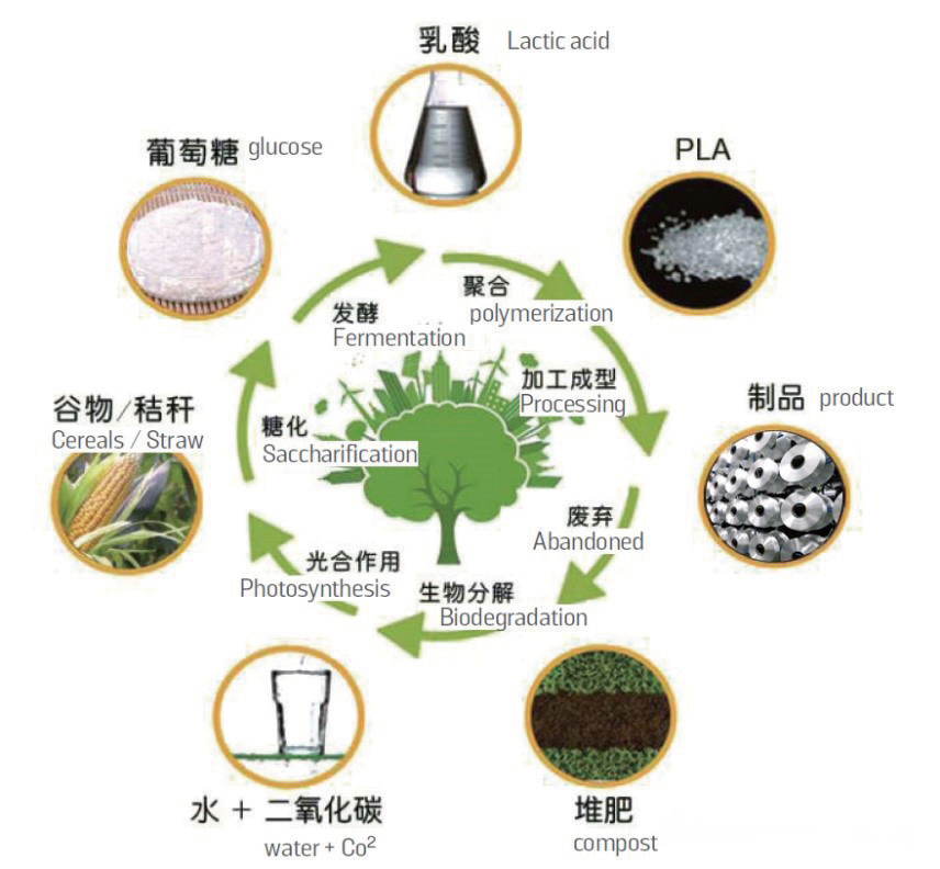 纤维素与半纤维素的天然生物质原料,都可用来生产乳酸,再经聚合生产聚