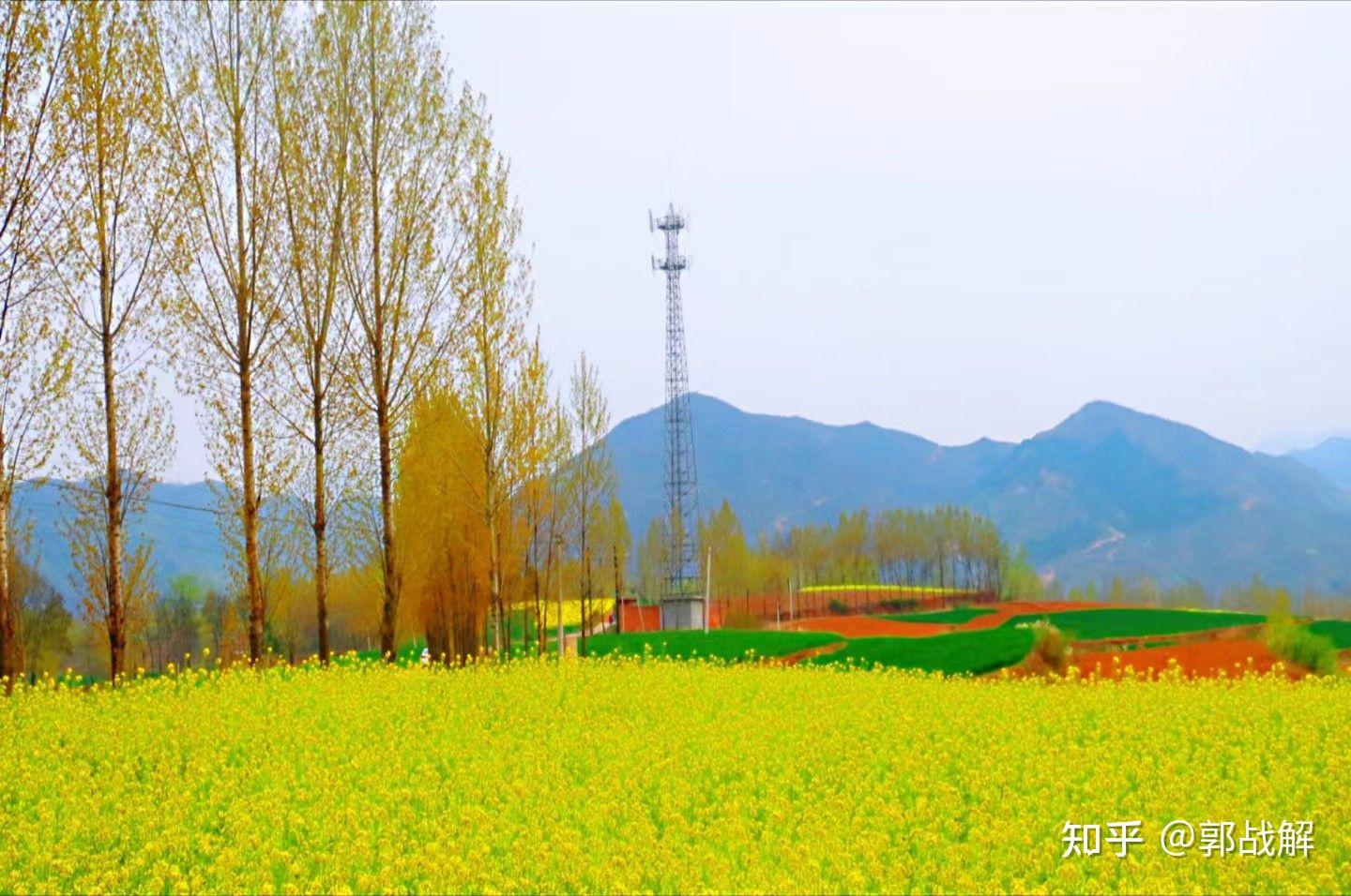 美丽乡村杨岭村慈善家郭战解拍摄河南省洛阳市洛宁县景阳镇杨岭村