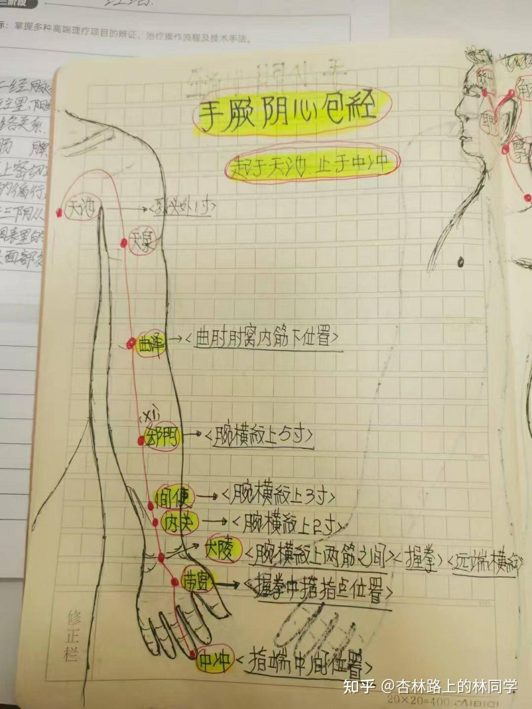 怎样拍打肺经图片