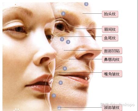 男人怎么保养面部才能年轻 v2-9252d09bf08ae5126fd19c62b9570052_r.jpg