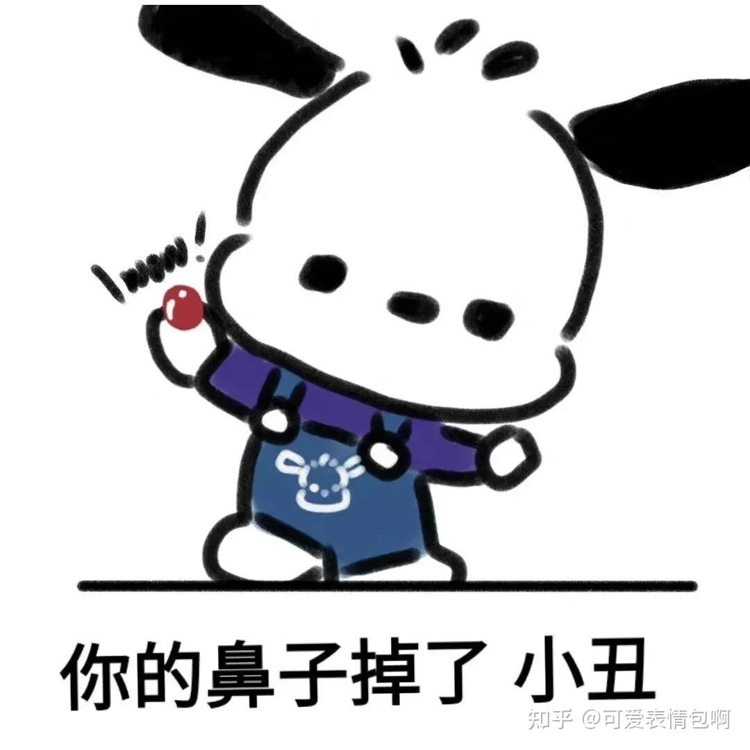 超可爱的帕恰狗gif表情包来啦 - 知乎