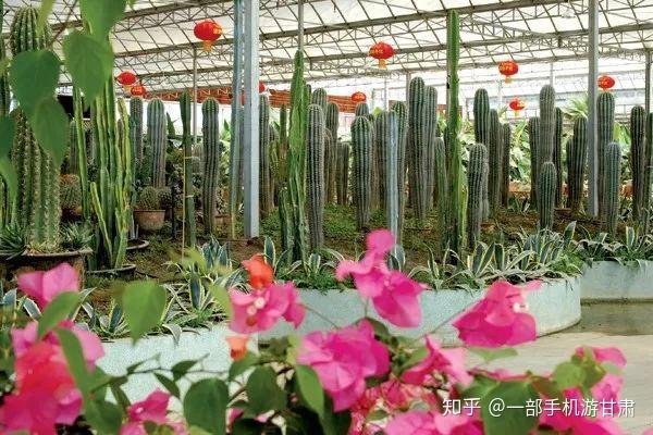 天乙生態園—普康現代農業田園綜合體—武威溫泉度假村—羊下壩四溝