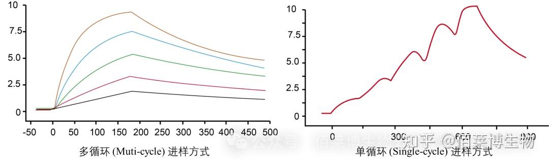 Spr Rmax 药物与蛋白亲和力检测(SPR法) 实验 - 知乎