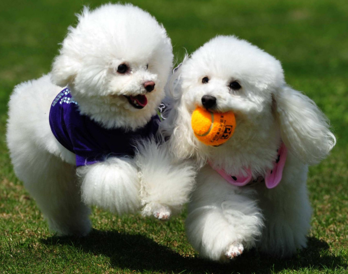 v2-9274e6410cb255a9701d596f3ba9a968_1440w.jpg?source=172ae18b