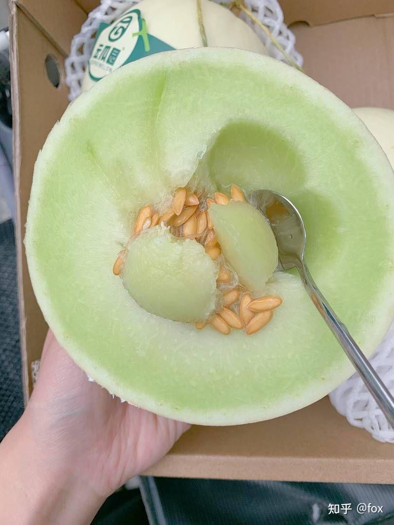 奶香蜜瓜 - 知乎