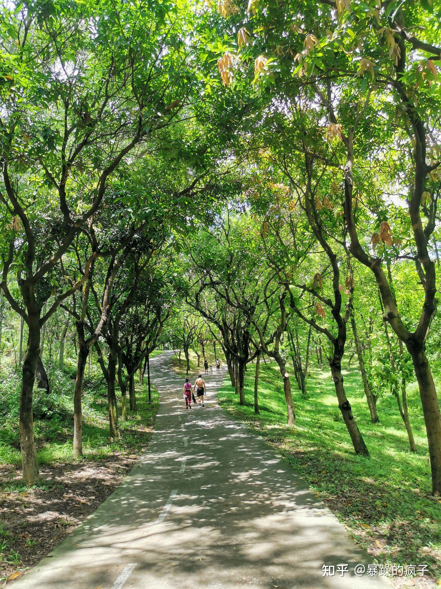 深圳周末去哪玩 — 燕晗山郊野公园 - 知乎