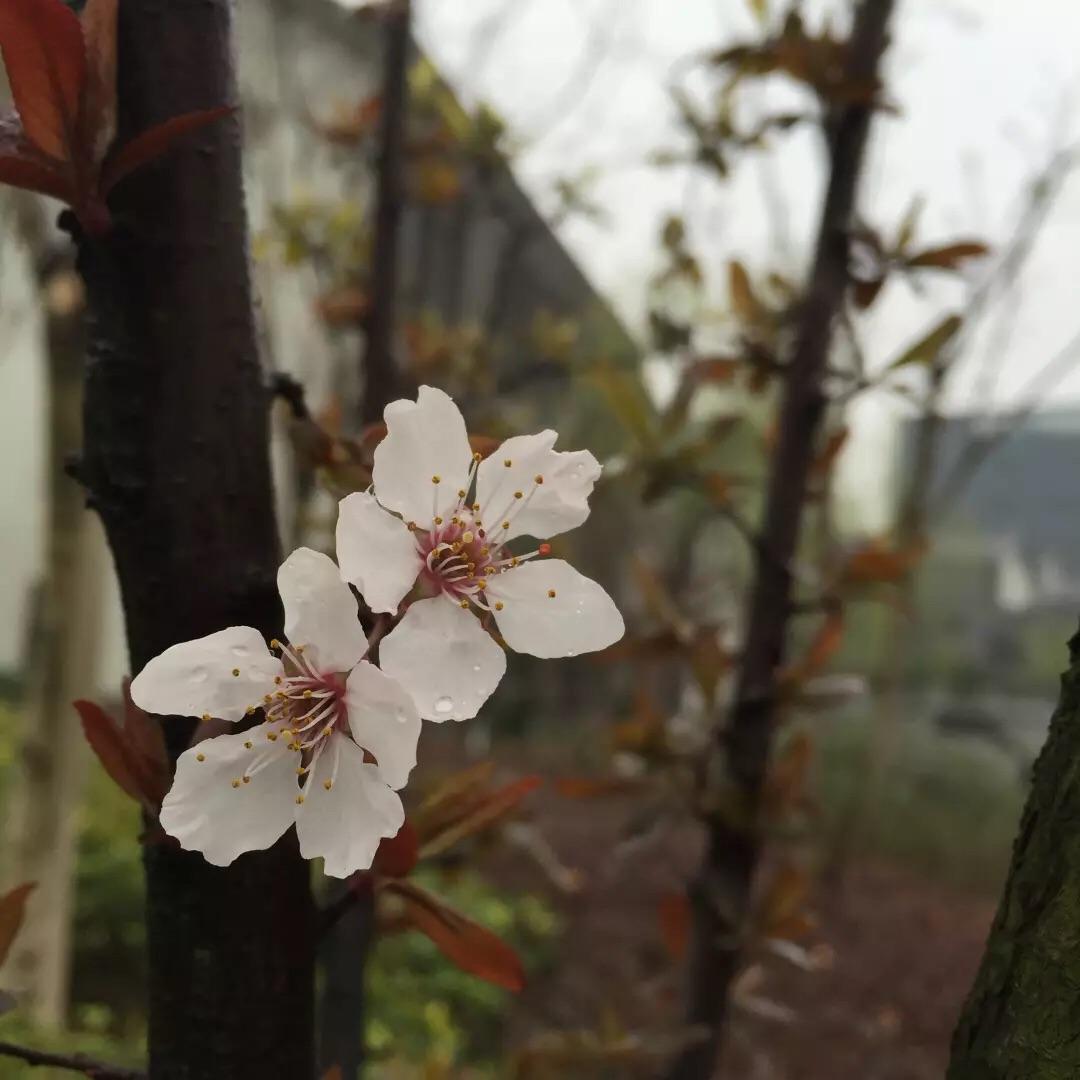 你用过最好的修图软件有哪些?