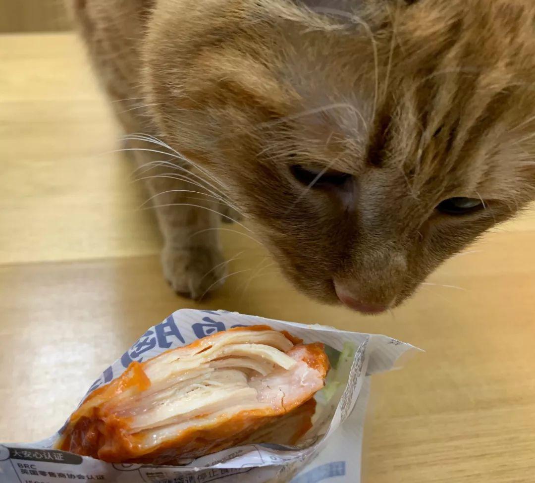 闪电猫最新款2025 v2-92aeab8311a314c5f105ea83ad1bce0a_r.jpg