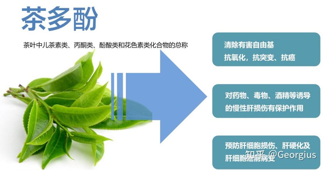 减脂营养素护肝茶蓟椰橄提取物