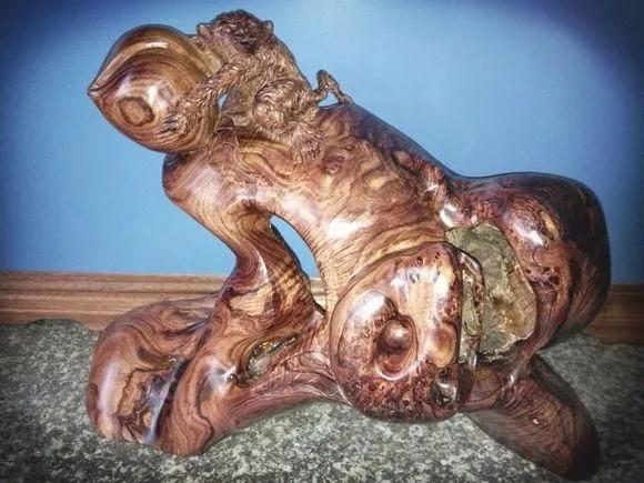 — 越柬紫檀(柬埔寨黄花梨)