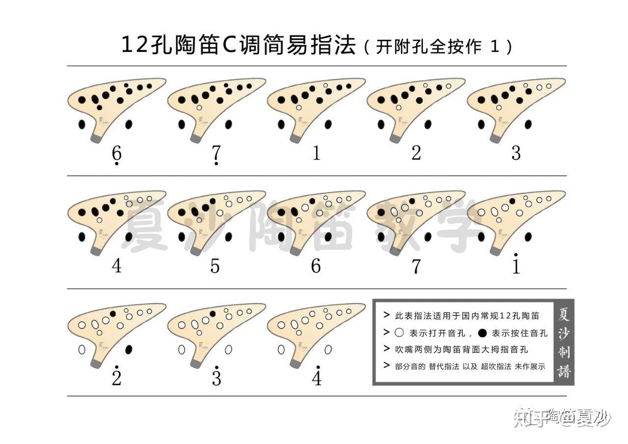 年齡大了新手沒有音樂基礎還能自學陶笛嗎