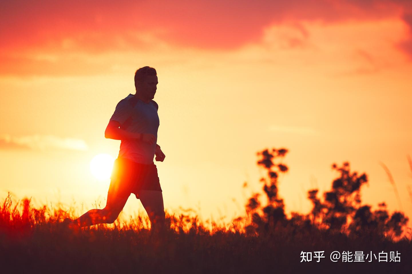 必看:跑半马前我们需要做什么准备? - 知乎