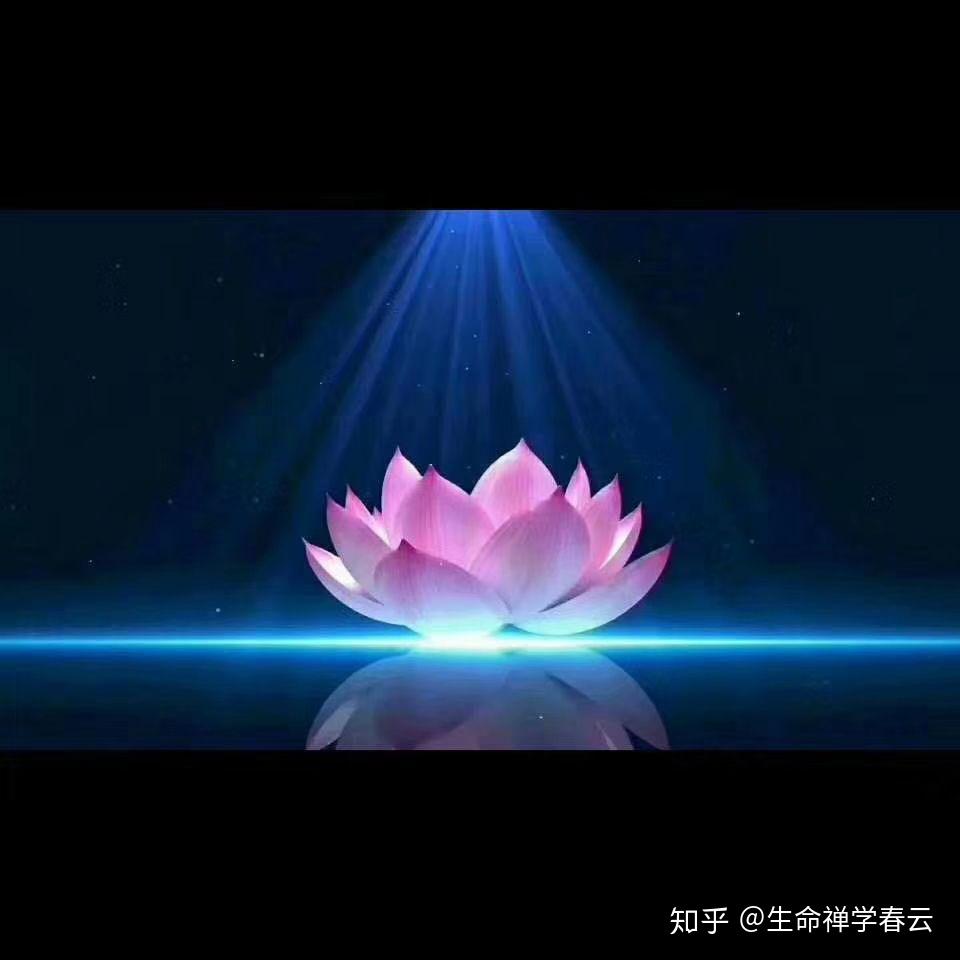 通常由于一霎那的灵光闪耀一开始我们看起来修得不错但事实上并没有