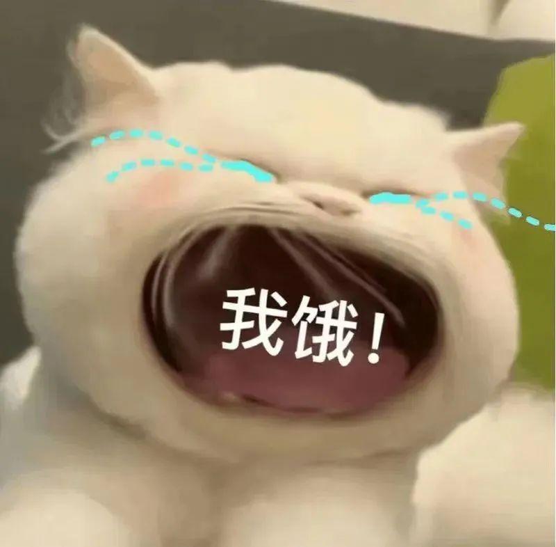 121张万能的要钱(生活费)表情包 - 知乎