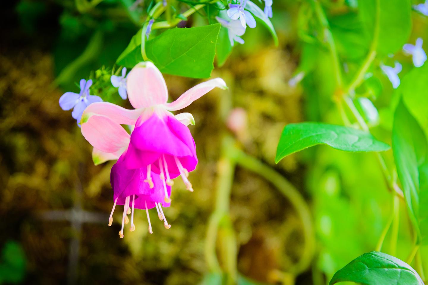 整整一本水彩色卡 29种 以及色号推荐 知乎