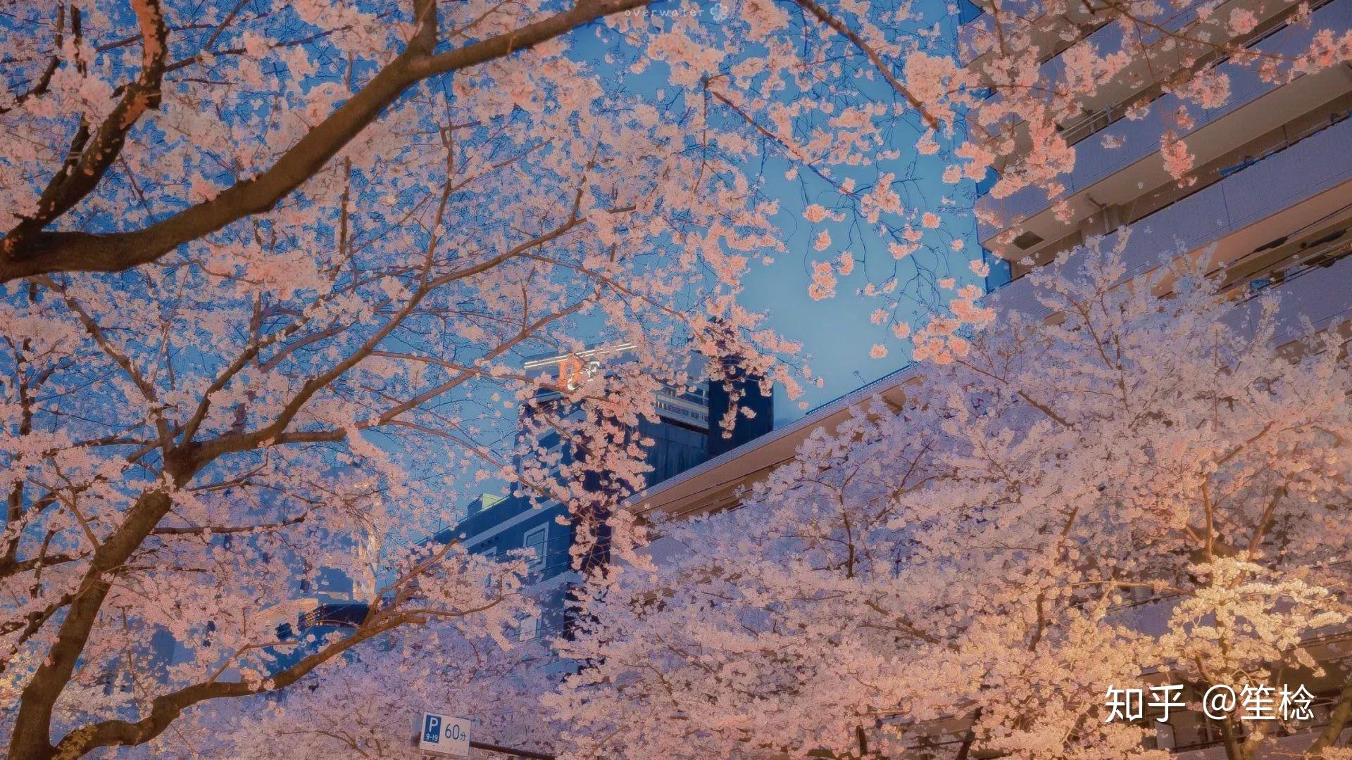 有哪些适合全面屏手机的壁纸