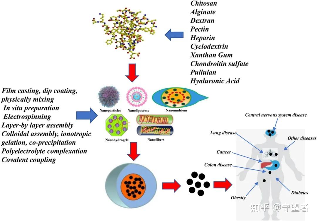 INT J BIOL MACROMOL Int j biol macromol