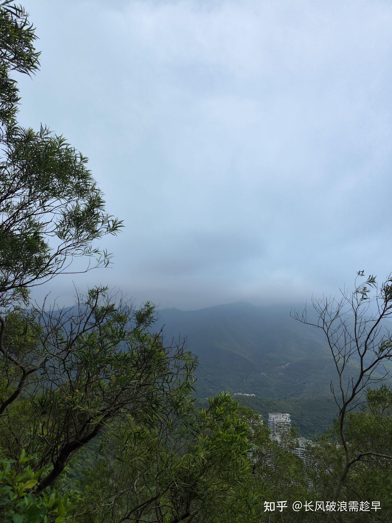 大小梧桐山图片