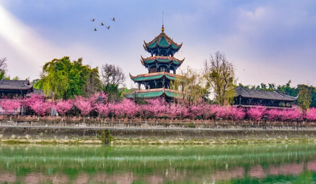 2022成都踏春赏花攻略:花重锦官城!