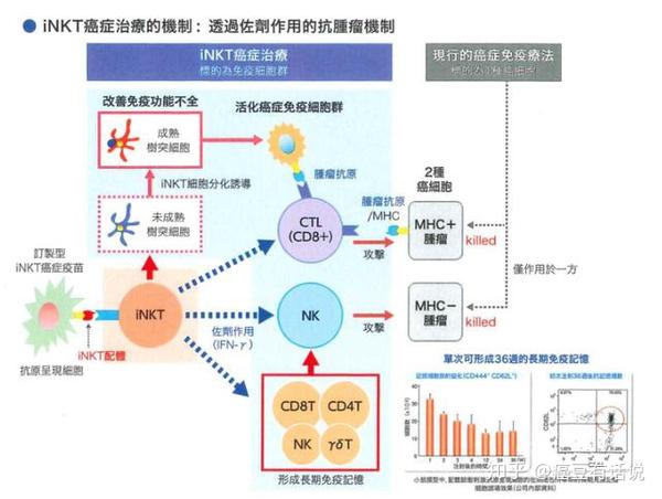 细胞免疫疗法 缓解癌症疾病与并发症疼痛 显著提高患者生活质量 知乎