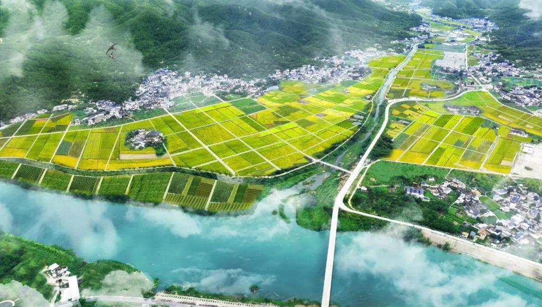 试点,开展耕地保护政策创新研究,持续正向优化耕地和永久基本农田布局