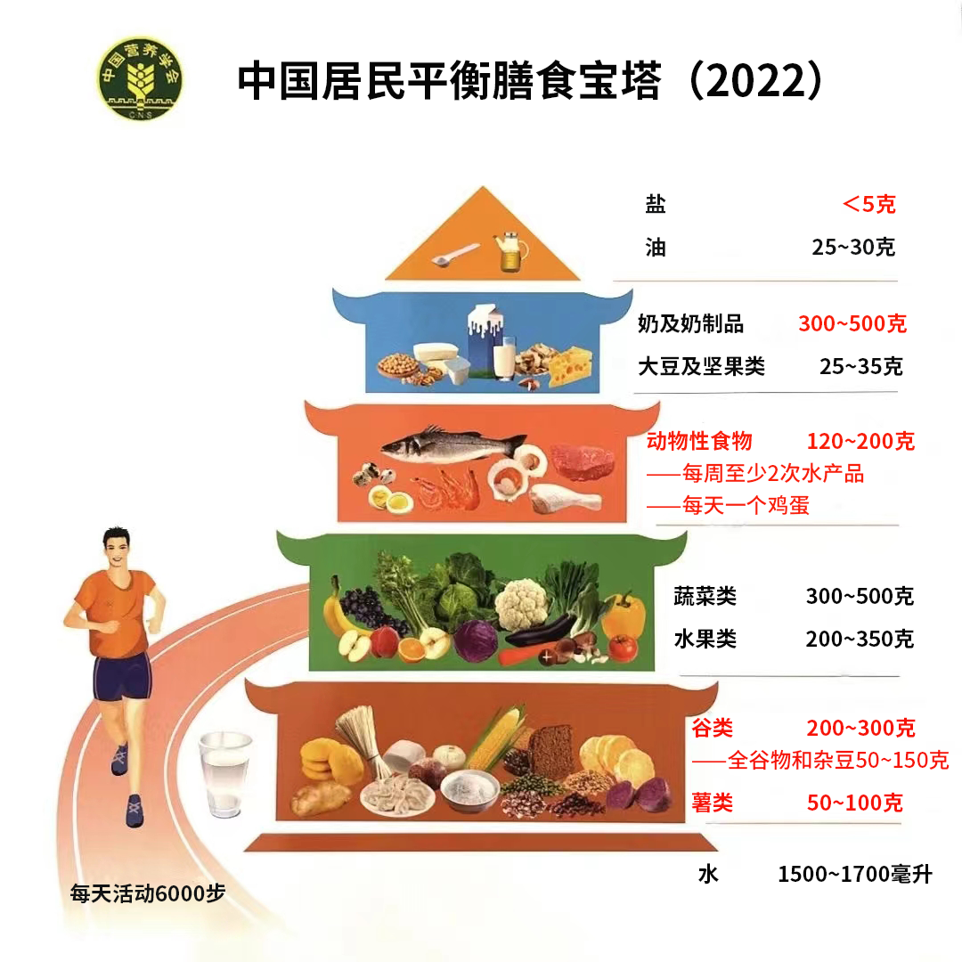 维生素和矿物质等《中国居民膳食指南(2022)》