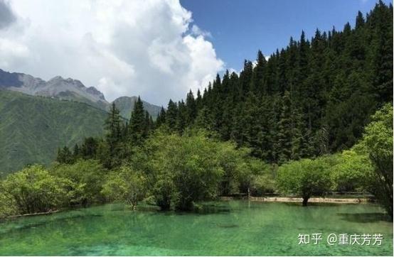 但不接受散客和自駕遊旅客,意思是隻接旅行團唄?