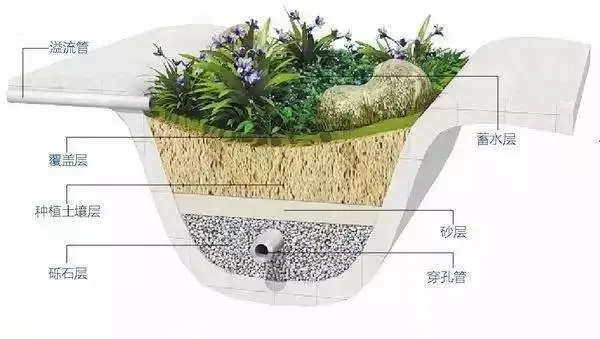 通过下凹式绿地,以及层级跌水等方式,可以帮助减缓地表径流的流速,加