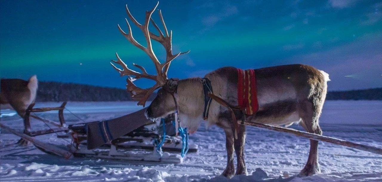 拉普兰现实中的冰雪奇缘北极圈以北海中冰岛奇幻冰雪森林滑雪秘境走走